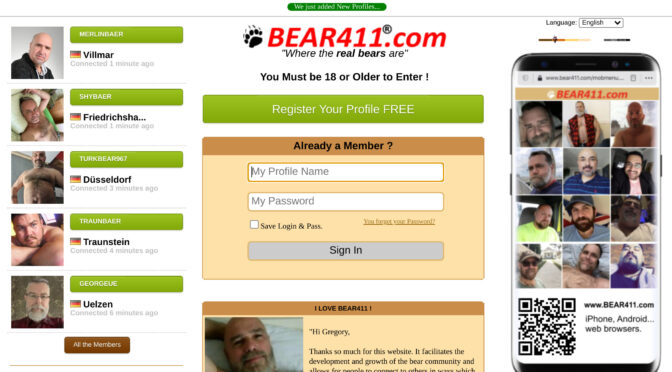 Bear411 Review 2023
